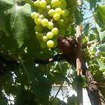 Aira Lejlighed Himarë