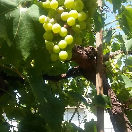 Aira Appartamento Himare