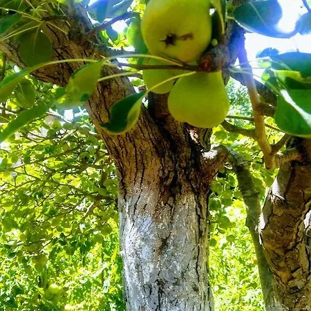 Appartamento Aira Himare